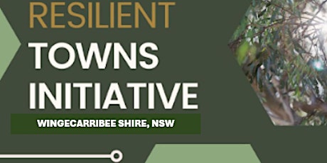 Resilient Towns Initiative: Balmoral primary image