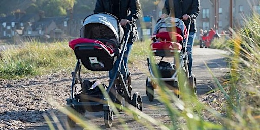 Imagem principal do evento Buggy Health Walk