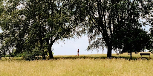 Hampstead Heath London Fun Puzzle Treasure Hunt! :) primary image