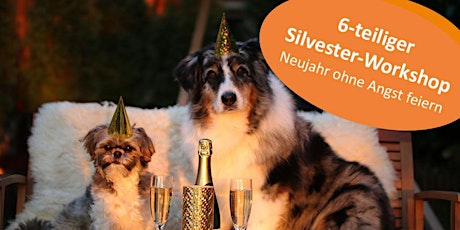 Hauptbild für Silvestertraining - Neujahr ohne Angst feiern! 6-teiliger Workshop!