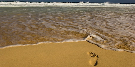 Step In and Speak Out for the Great Lakes: Lake Michigan  primary image