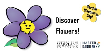 Discover Flowers! primary image