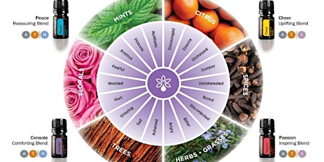 Doterra Essential oils for Emotions primary image
