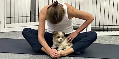 Hauptbild für Puppy Yoga