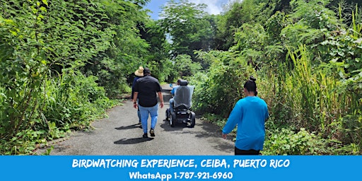 Imagem principal do evento BirdWatching Ceiba
