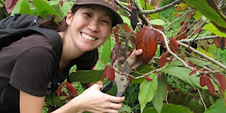 Hawaiian Cacao & Chocolate Bootcamp on Oahu primary image