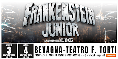 Frankenstein Junior - Il Musical primary image
