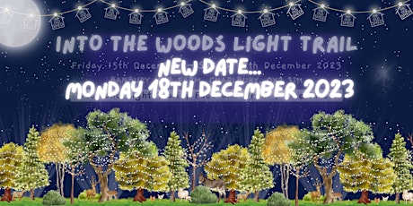 Imagen principal de Into The Woods Light Trail  - Monday 18th December