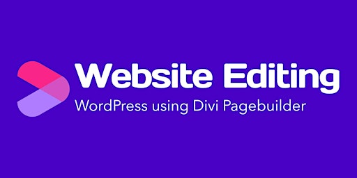 Primaire afbeelding van Website Editing in WordPress using Divi Live Q & A