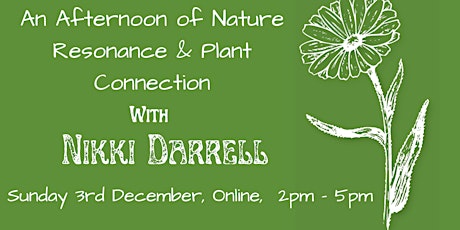 Imagen principal de An Afternoon of Nature Resonance and Plant Connection with Nikki Darrell
