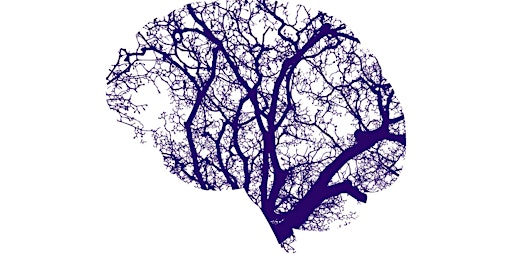 Primaire afbeelding van Gramática cognitiva y aprendizaje de español