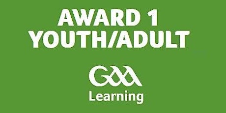 Award 1 Youth & Adult - Hurling primary image