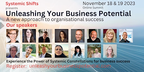 Primaire afbeelding van Unleashing Your Business Potential  - A systemic approach