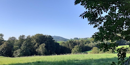 Imagen principal de Fr,29.03.24 Sieben Türme Blick im Odenwald für 25-45J