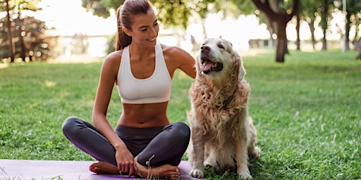 Hauptbild für Yoga at TMC Helix Park