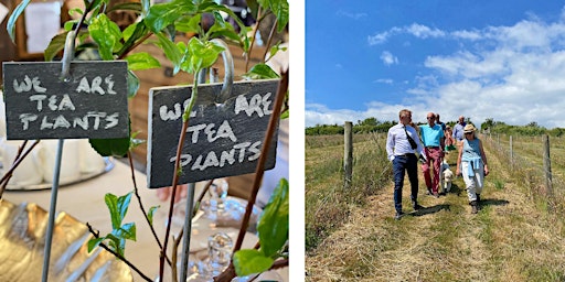 Hauptbild für Tea Growers Guide