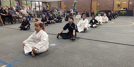 FREE KIDS MARTIAL ARTS CONCENTRATION AND FOCUS CLASS primary image