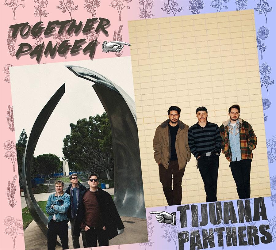 Tijuana Panthers and together Pangea