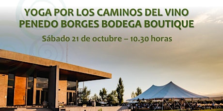 Hauptbild für Yoga por los Caminos del Vino en Penedo Borges Bodega Boutique