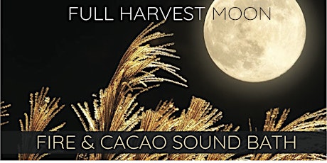 Full Harvest Moon ~ Cacao & Fire Ceremony Sound Bath primary image