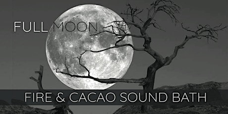 Full Hunter's Moon ~ Cacao & Fire Ceremony Sound Bath primary image