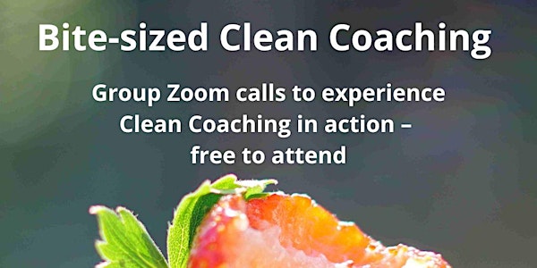 Bite-sized Clean Coaching - Group Zoom call