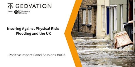 Primaire afbeelding van Insuring Against Physical Risk: Flooding and the UK