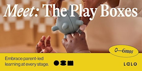 Meet The Play Boxes: Embrace parent-led learning at 0-6 mos primary image