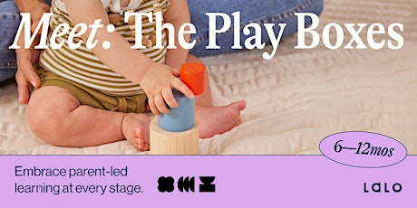 Meet The Play Boxes: Embrace parent-led learning at 6-12 mos primary image