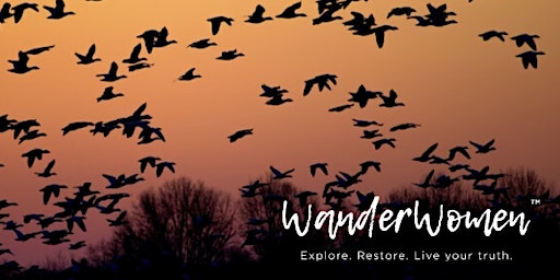 Imagem principal do evento Wild Geese Wander