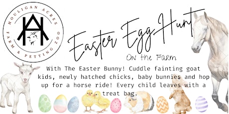 Houligan Acres’ 2024 Easter Egg Hunt; Farmyard Babies and Horse Rides!