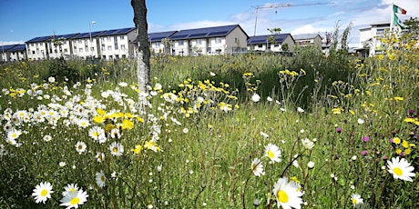 Hauptbild für Welcome to Skerries Walk for Fingal Inclusion Week 2023