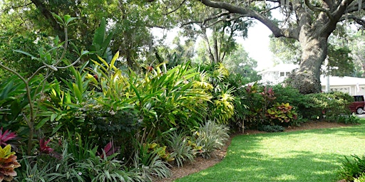 Imagem principal de Fertilizing Effectively in Suncoast Soils