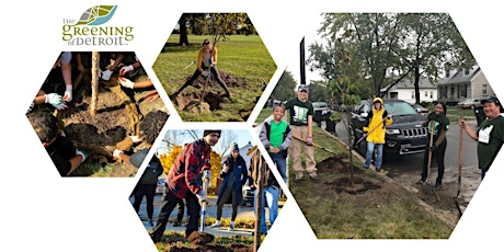 Pingree Park Community Tree Planting