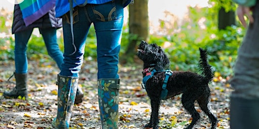 Rainbow Pooch in the Park (Birmingham) primary image