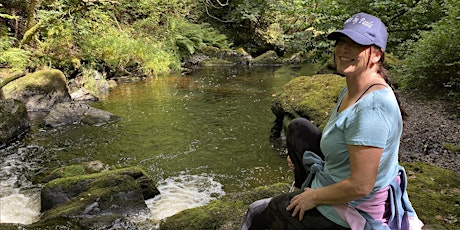 Devil’s Glen, Ashford Wellness Walk