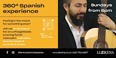 Imagen principal de Flamenco guitar