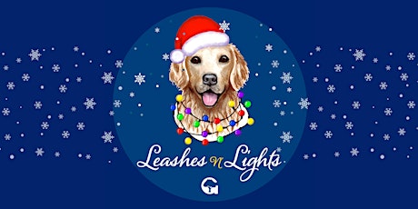 Leashes 'n' Lights 11/20 primary image