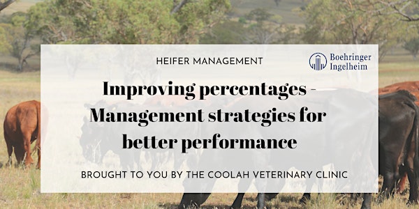 Improving Percentages - Management strategies for better performance