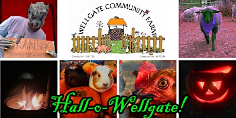 Hall-o-Wellgate! primary image