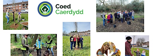 Collection image for Coed Caerdydd Tree Planting (23-24)