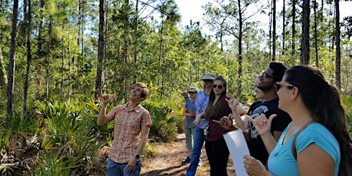 Immagine principale di Florida Forests  Hike