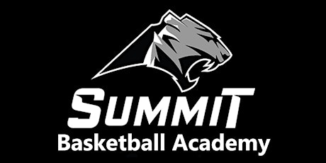 Summit Tigers Basketball Academy  primary image