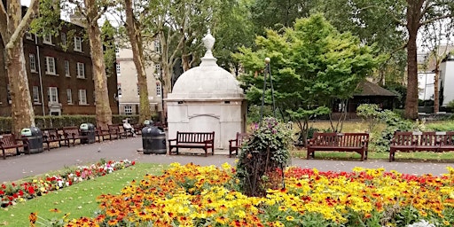 Magnificent Marylebone primary image