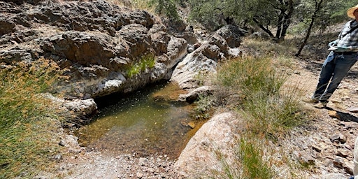 Survey Springs in the Galiuro Wilderness: May 24-27 (Memorial Day Weekend)