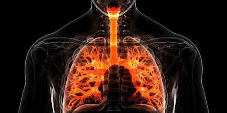 Developments in Asthma Management Part 2 primary image