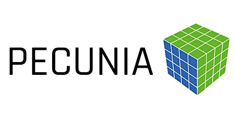 PECUNIA Satellite Workshop