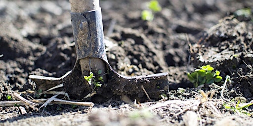 Hauptbild für Wildlife Gardening for Beginners