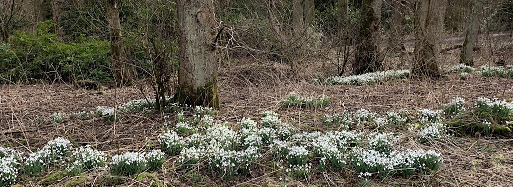 Balbirnie's Future Foundation is working together with Fife Council and Fife Coast and Countryside Trust to help make improvements for Balbirnie Park, people and nature. Sessions take place on Friday and Saturday afternoons.