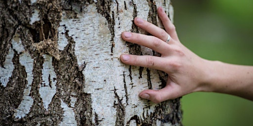 Tree Identification primary image